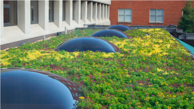 Green Roof Modular System Florida