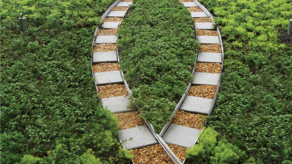 Modular Green Roof Systems Tennessee